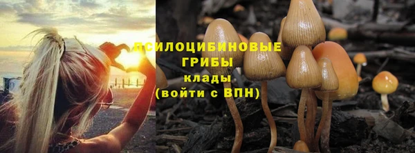 синтетический гашиш Алексеевка