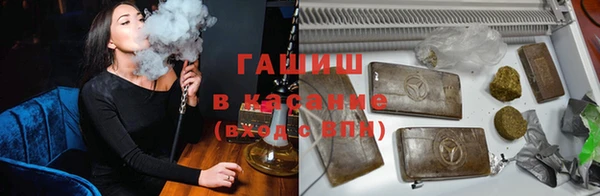 apvp Алзамай