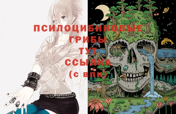 синтетический гашиш Алексеевка