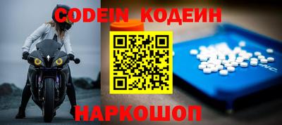 прущие грибы Камышлов