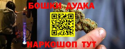 прущие грибы Камышлов