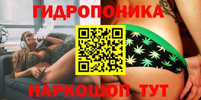 трава Канаш