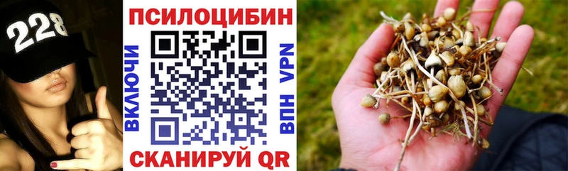 Галлюциногенные грибы мицелий  Углич 