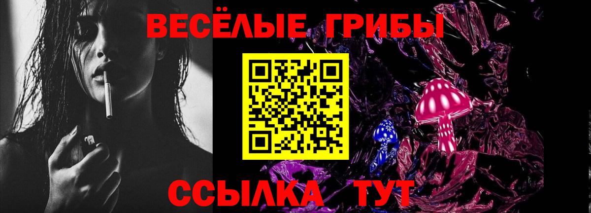 Псилоцибиновые грибы Cubensis Углич