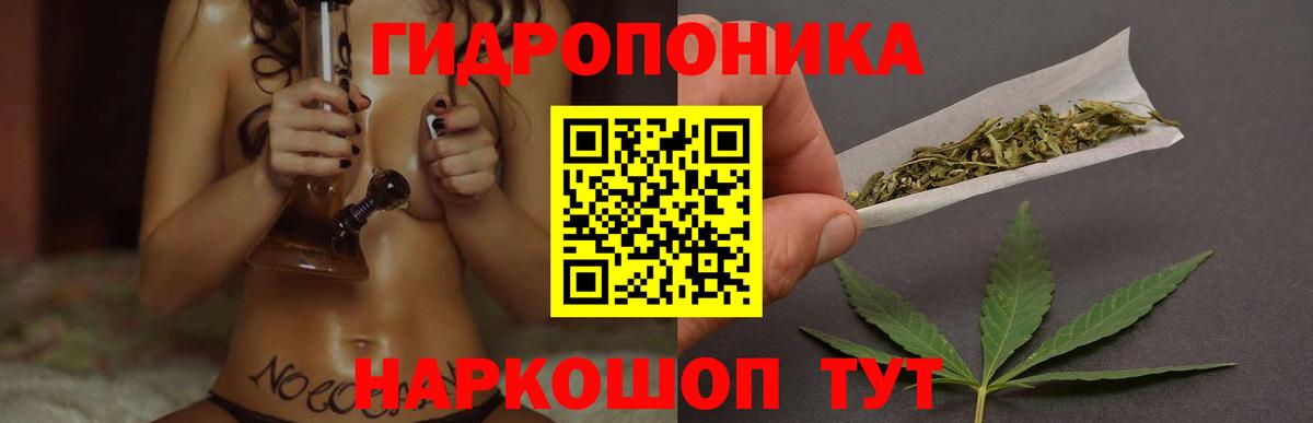 Углич  Бошки Шишки план  Вход с VPN  Бошки марихуана VHQ  Шишки марихуана White Widow 